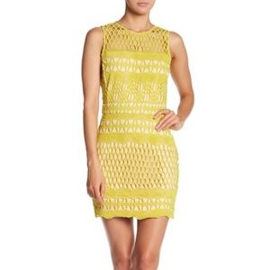 NWT Endless Rose “Guipure Lace Dress” (M)